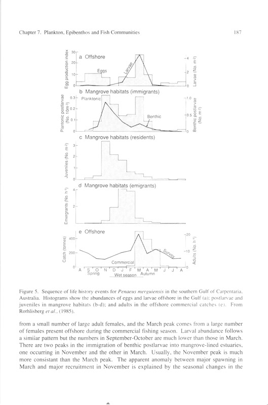 Tropical Mangrove Ecosystems - aus dem Buch